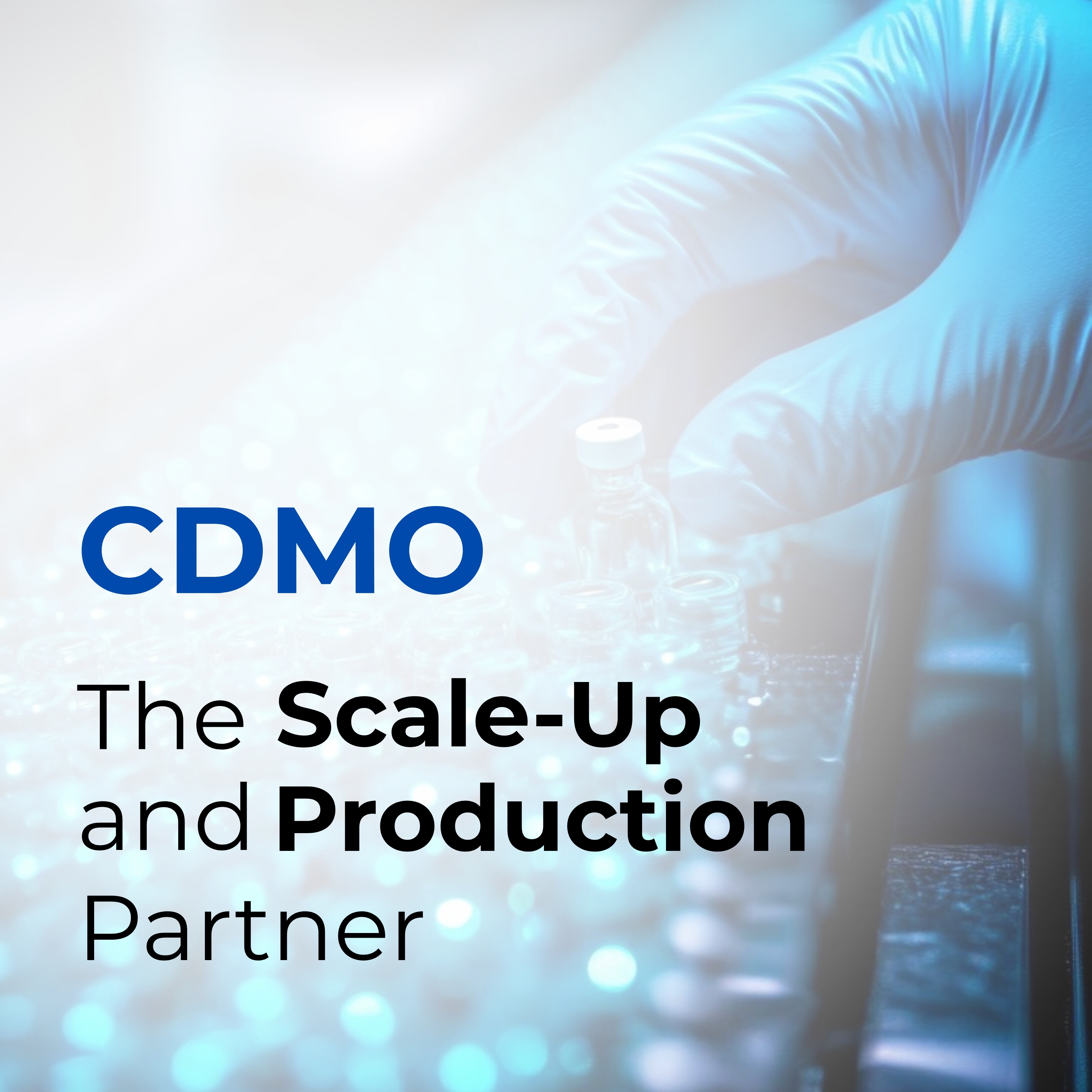 CDMO: The Scale-Up and Production Partner CDMO: The Scale-Up and Production Partner